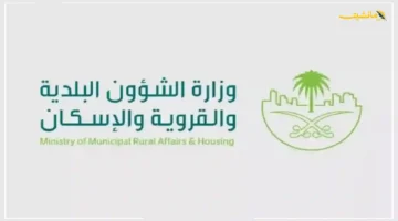 رسميًا تغييرات كبرى.. وزارة الشؤون البلدية تُصدر اشتراطات جديدة تُعيد رسم خريطة نشاط التشليح 1